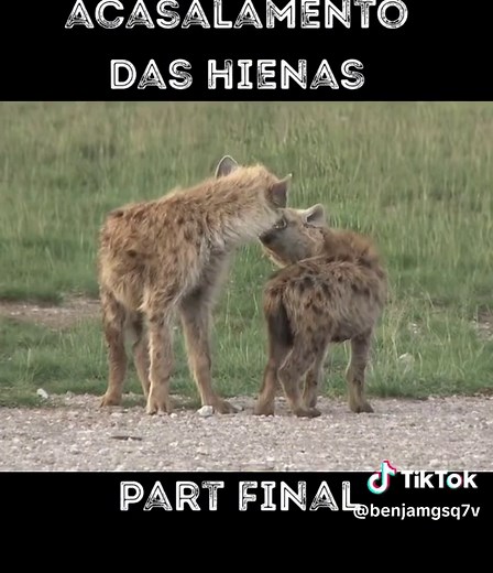 Benjamin Taylor on TikTok