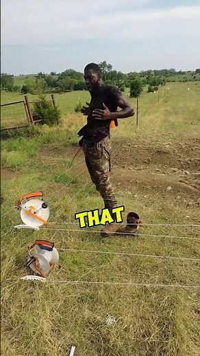 How Electric Fences Work! ⚡️ (Shocking Truth!)