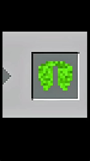 custom elytra In minecraft #minecraft​ #shorts​ #youtube​