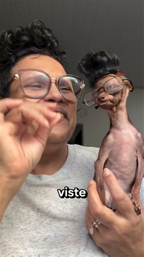Hairless Chihuahua Finds Love and Warmth