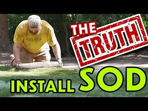 SOD INSTALL Lawn Replacement | What Your Landscaper is NOT Telling You!