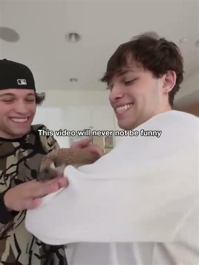 day 5 of posting sturniolo triplets until i hit 4k subs #sturniolotriplets