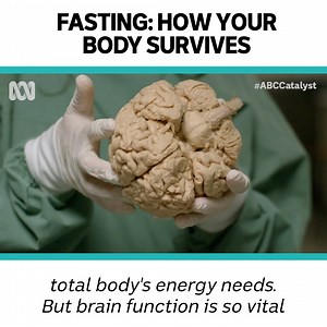 380K views · 2K reactions | The concept of fasting might sound exhausting. But your body has more energy stores than you think. | ABC Science | Facebook