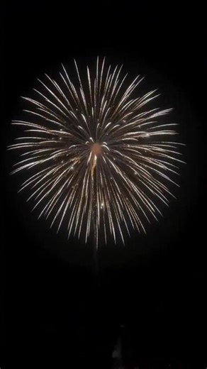 happy Diwali en ljoy 🎉#diwali #diwalimeme#phataka #phatake #pyro #ller #rocket #skyshot