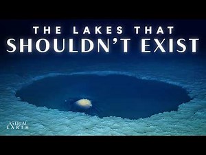 The Underwater Lakes That Shouldn't Exist