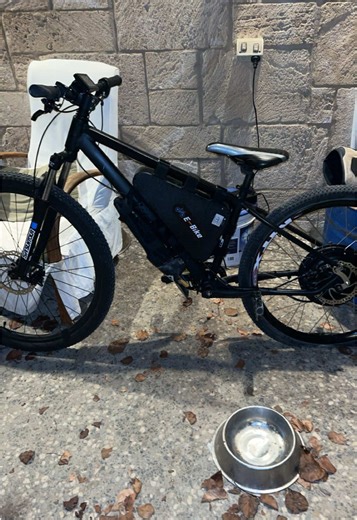 Fixing a Noisy 1500W Electric Bike Motor