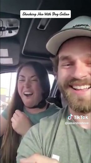 Dog Training Shock Collar Challenge