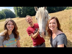Working Horses with... CHRIS??? // FARM TOUR IN GERMANY!!