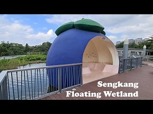 Sengkang Floating Wetland Singapore