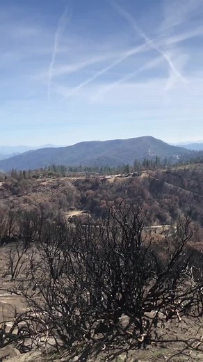 Rick Adams (@rickadams50)’s videos with original sound - Rick Adams