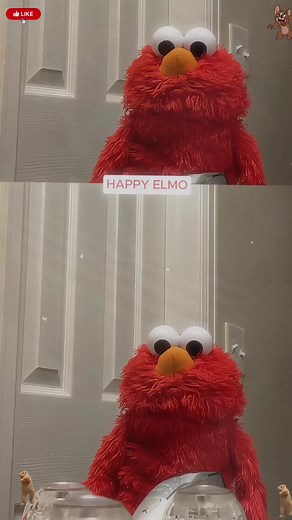 Elmo's Bathroom Confessions: A Funny POV