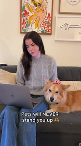 7.4K views · 14 reactions | Sign up for Adopt a Pet to save favorites, receive new pet alerts, and get continued support throughout the adoption process. | Adopt a Pet | Facebook