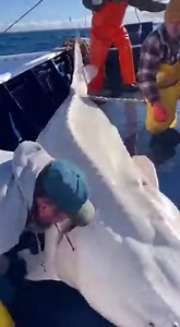 49K views · 179 reactions | Fishermen catch strange fish in the Pacific  | Aliens UFO Caught on Camera | Facebook