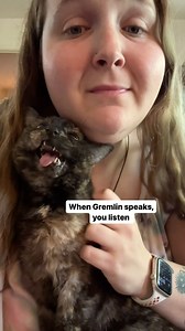 68K views · 10K reactions | Gremlin doesn’t have opinions, she only speaks facts  ​ ​#catladytails #talkingcat #tortitude #chattycat #kittyscream | Gremlin the Blep Cat - Cat Lady Tails | Facebook