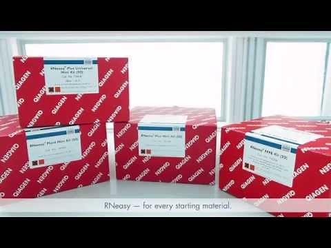 RNA isolation troubleshooting (Part 4: Correct protocol)