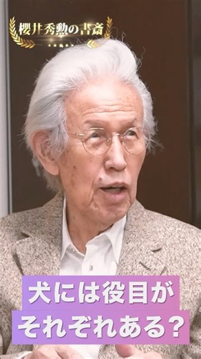 Why do dogs like to play tricks? 40,000 years of history and behavior of dogs and humans #shorts