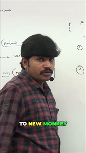 Monkey Business: Observing Unique Behaviors Explained #shorts