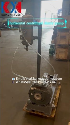 slurry pump with mechanical seal auxiliary system