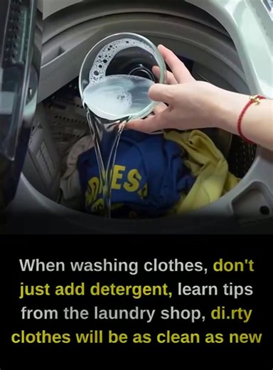 How to wash clothes cleanly and economically 😲 | Feedy Animals