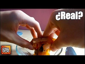 How to Make a Homunculus