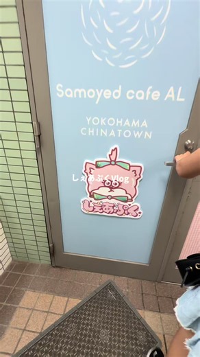 しぇあぷく横浜店でシール帳をゲット！Vlogと店長の様子