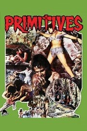 Primitives