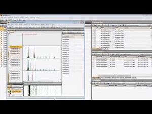 Import and assemble VNTR/MLVA sequencer trace files (BioNumerics 7.5 & 7.6)