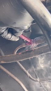 166K views · 720 reactions | Here’s the other Transmission line 臘‍♂️ #autorepair #mechanic #mechaniclife #mechanicproblems #fixit #AutoRepair #mechanicsoftiktok #lowellma #automotive #repairs #fast #crayola | My Mobile Mechanic / Auto Repair & Brake Replacement. | Facebook