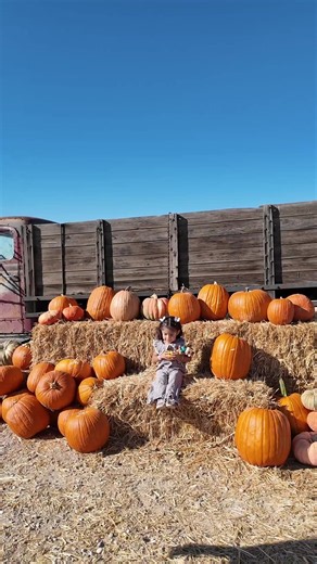 🎃🧑‍🧑‍🧒🤍✨ #pumpkinseason #pumpkinpatch #fypシ゚viral #foryoupage #viraltiktok