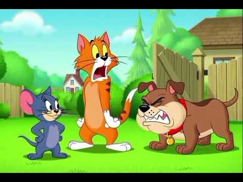 Cat & Mouse – Tyke Forgot Spike! 😂🐶 | Milo & Pip 🐱🐭