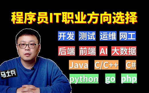 大专/三本/二本/一本/985/211程序员的IT职业（就业）方向选择！开发/测试/运维/网工/AI？Java/C/C  /Python/Golang/马士兵？
