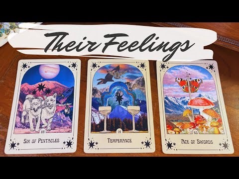 How do they feel? Love reading | Pick a Card Love Tarot