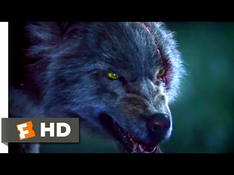 Wolf Warrior (2015) - Wolf vs. Wolf Scene (4/10) | Movieclips