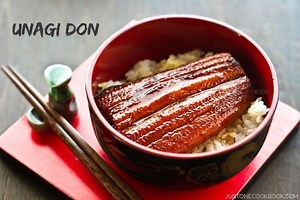 Unadon - Alchetron, The Free Social Encyclopedia