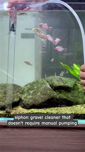 Turns out there's a way to change aquarium water and clean the gravel #aquaclean