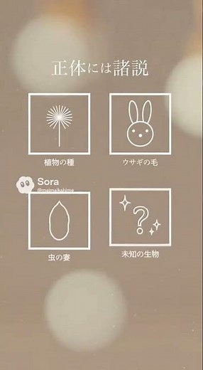 ケサランパサランとは？