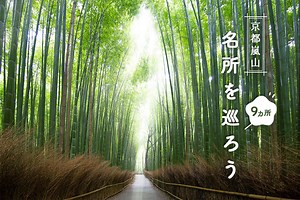 【京都嵐山】名所を巡る1日観光コース！トロッコや竹林など定番＆穴場9選 | PrettyOnline