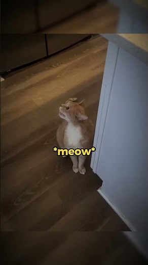 This SHOULDN’T Sound This Accurate 😱🎤 #tiktoktrend