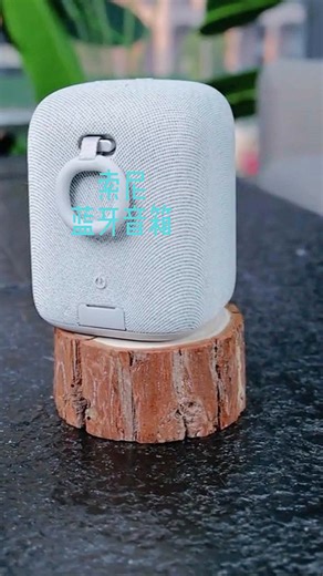 索尼（SONY）LinkBuds音乐盒 无线蓝牙音箱 IPX4防水 家居艺术家用桌面音响 礼物送男女友孩子学生 淡灰色