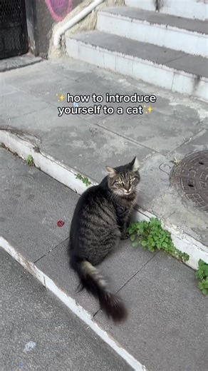 Affectionate and Cute Moments with This Lady