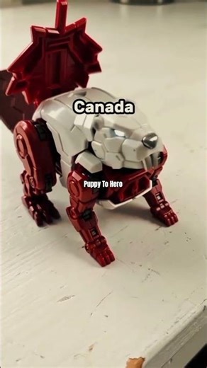 Canada’s National Animal Might Surprise You 🦫🇨🇦 #shorts