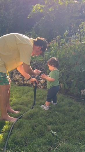 2.4K views · 31 reactions | We had the cutest little helper today around the yard. So much to do so we might as well have the grandson start learning early. 珞珞珞 | Crustacean Plantation | Facebook