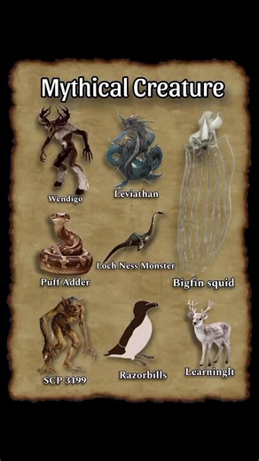 Bigfin squid, Puff Adder & Learning 😱😱😱#foryoupage #virulvideo #mythcialcreature #foryou #worldrecord🌎