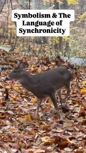 “Synchronicity: A meaningful coincidence of two or more events where...