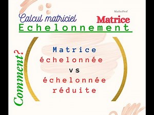Matrices échelonnées et échelonnées réduites : Comprendre et différencier