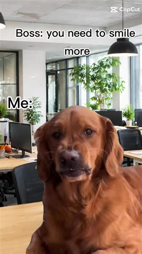 Diversión en el trabajo: Memes para alegrar tu día