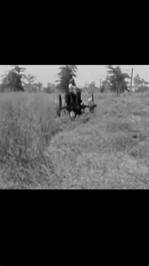 43K views · 1.8K reactions | Vintage Tractor farming | Historical Pictures | Facebook