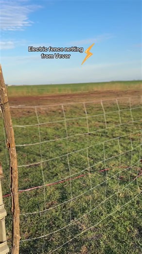 Setting Up Vevor Electric Fence Netting for Effective Grazing Control