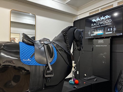 Meet Cassidy: the mechanical horse ready to teach Londoners how to ride