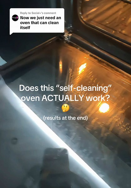 Testing AEG Self-Cleaning Oven Effectiveness